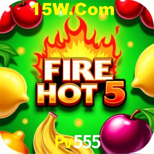 Security Systems Pv555