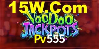 Premium Interface Pv555