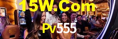 Explore as vantagens do Pv555: serviço profissional e confiabilidade