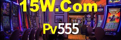 Programa VIP Pv555